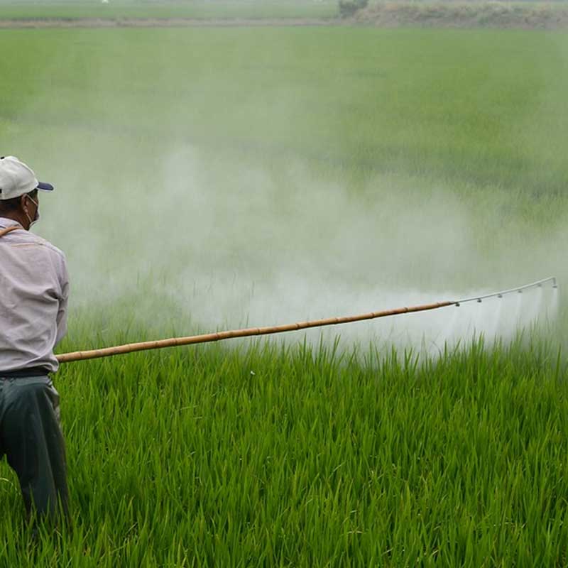 Agriculture spraying crops