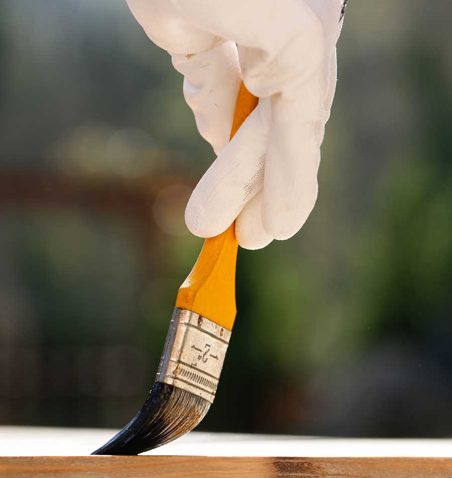 paint brush spreading specialty coating